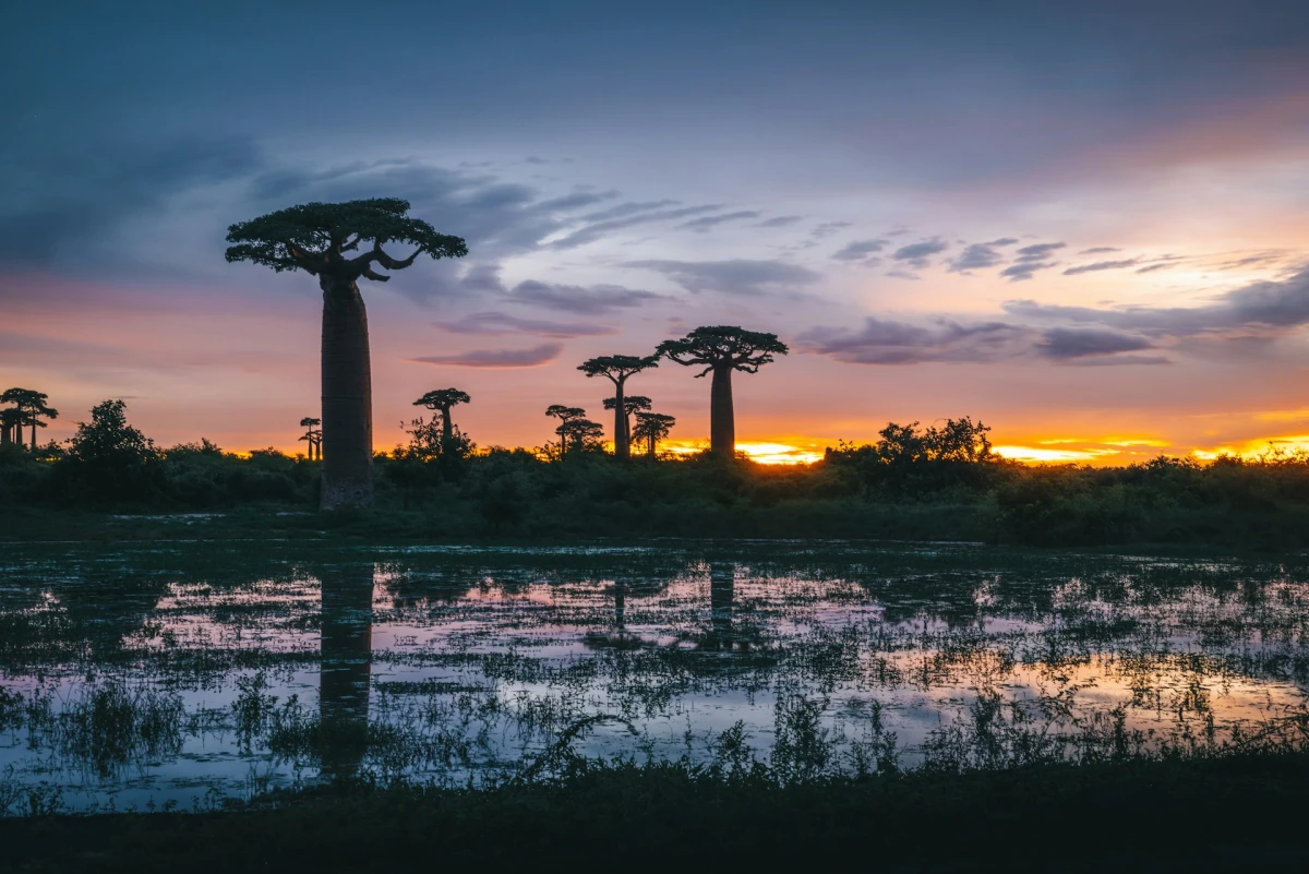 Baobabs y Tsingy del Norte