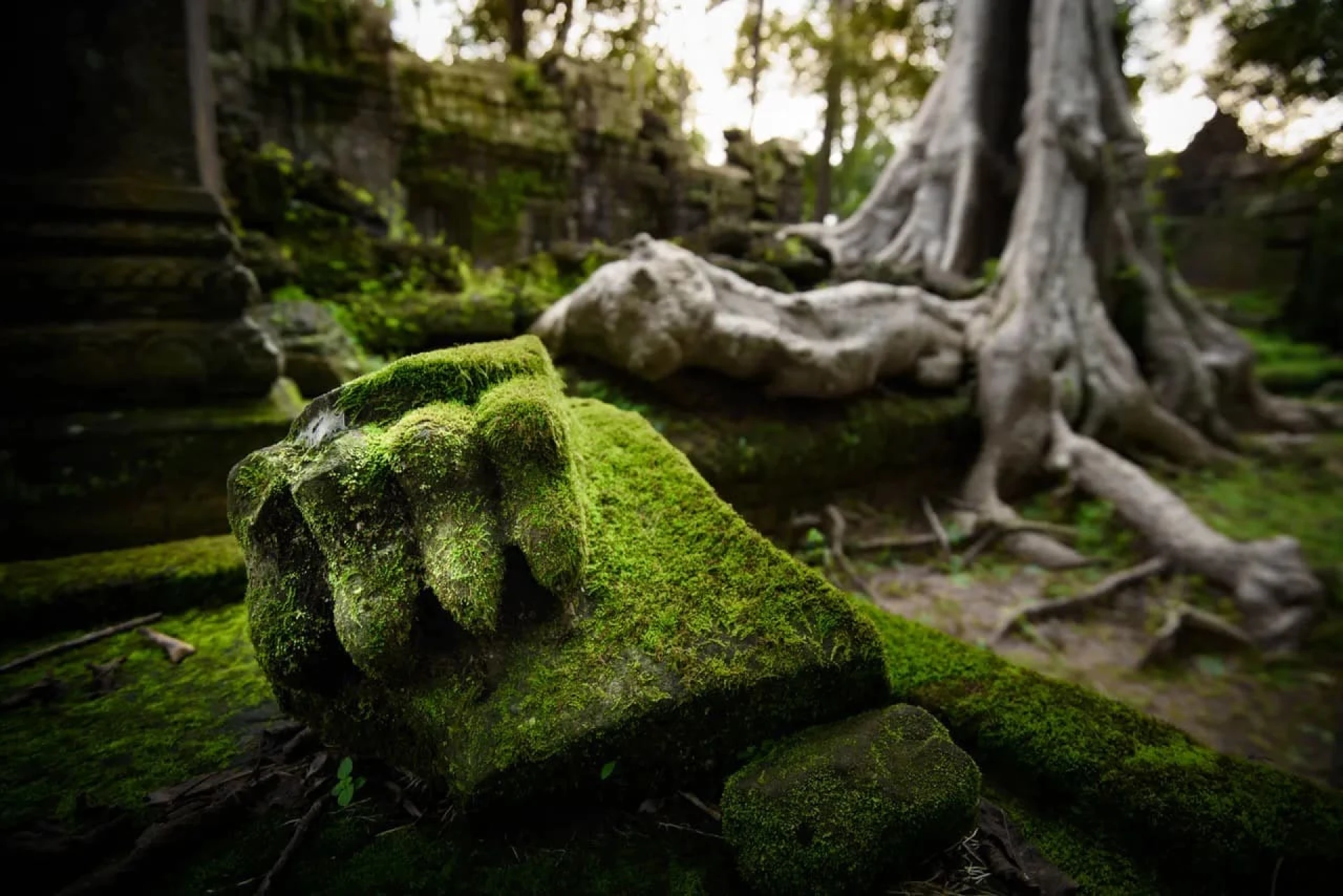 La esencia de Camboya 2027
