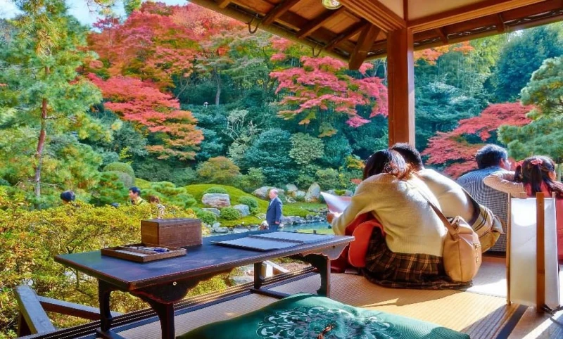 Otoño mágico en Japón