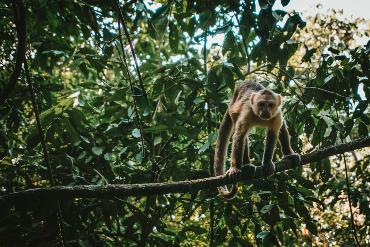 Colombia, naturaleza y aventura