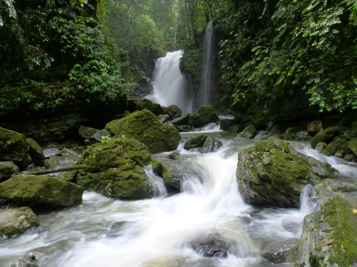 Andes y Amazonia