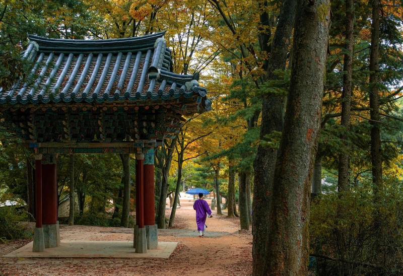 Colores de Corea 2026