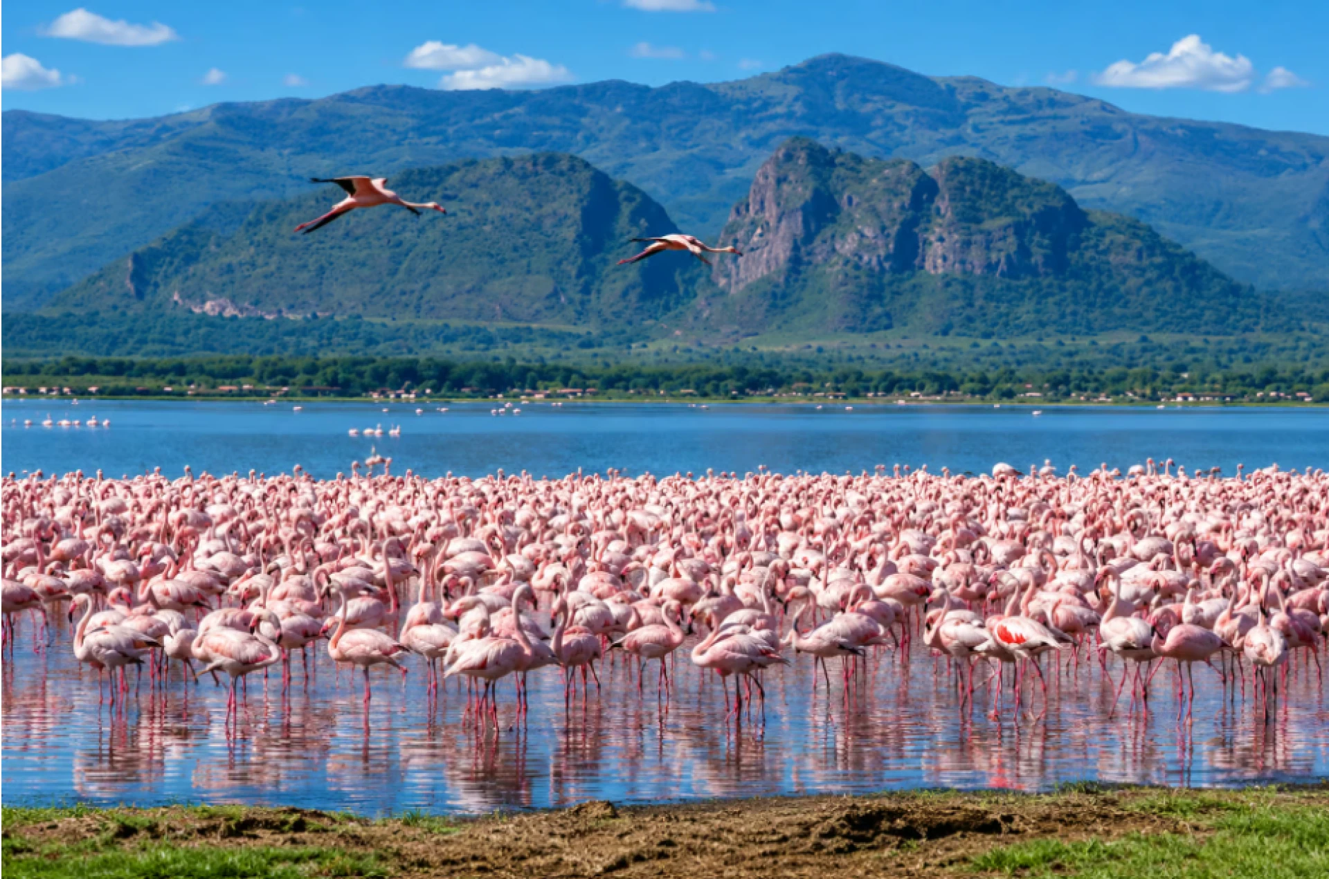 Tanzania y lago Natrón
