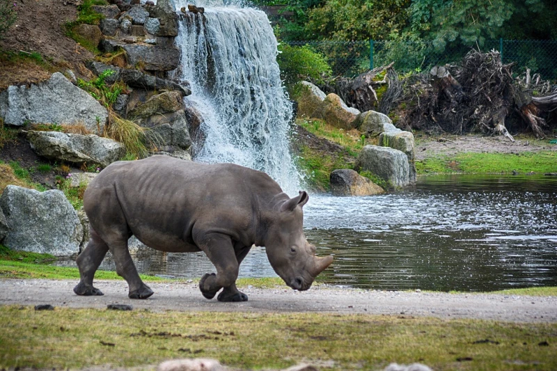 Tierras de Tanzania 2026